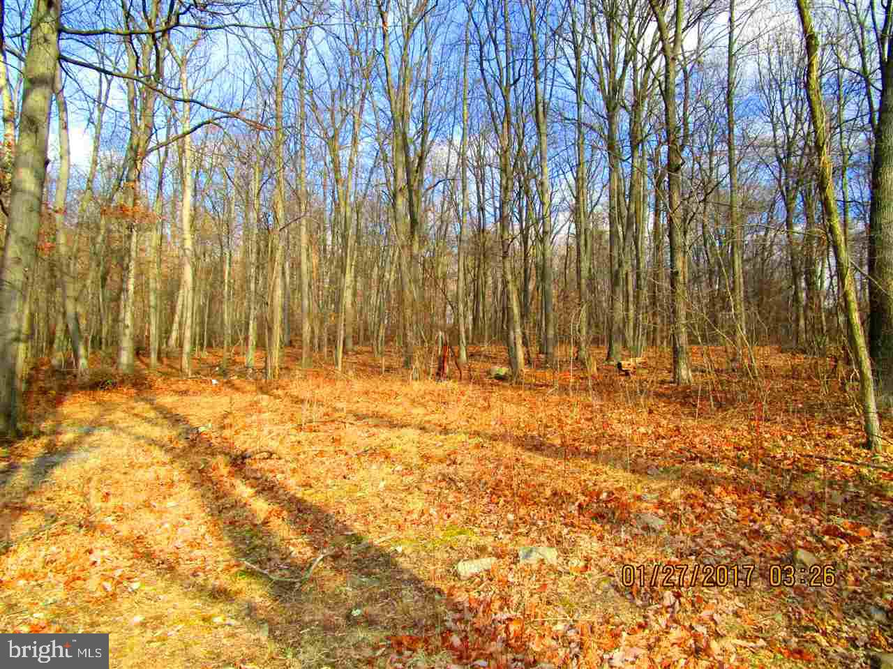 660 Old Quaker Road Etters, PA 17319 - Photo 29 of 32 Gallery Image 29