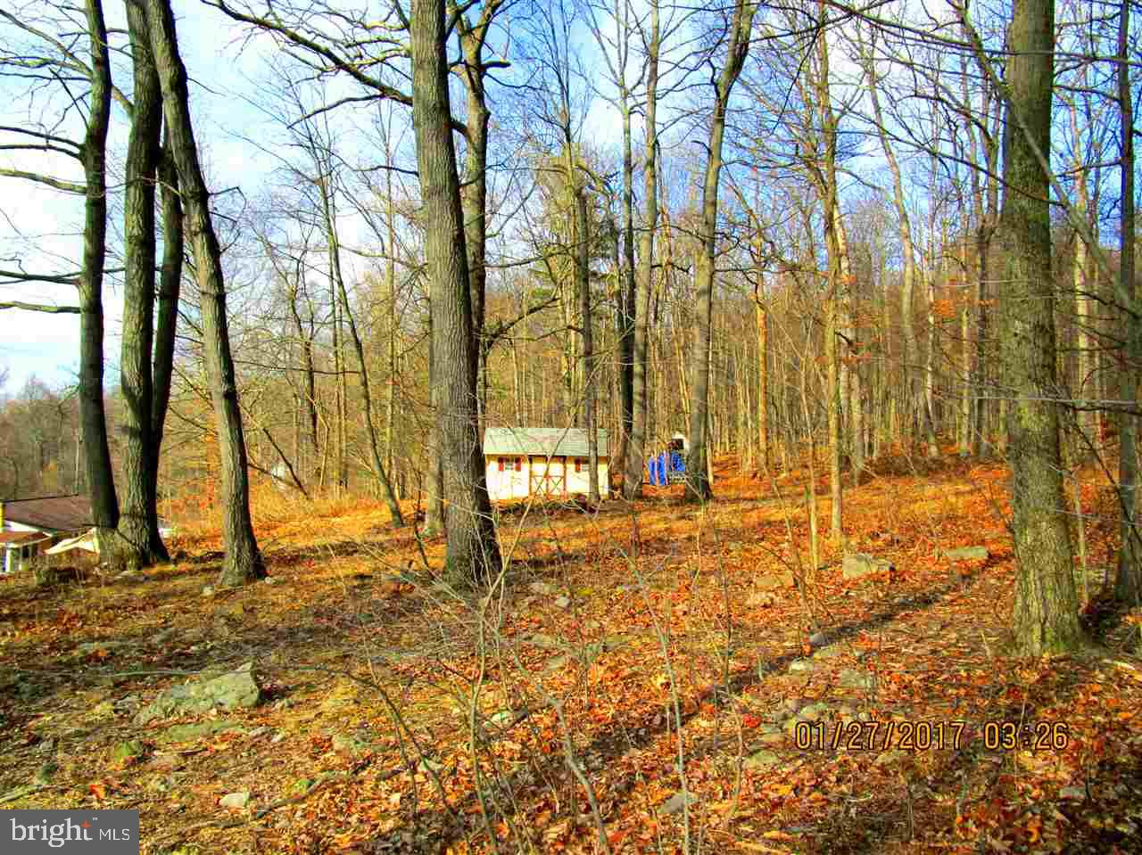 660 Old Quaker Road Etters, PA 17319 - Photo 30 of 32 Gallery Image 30