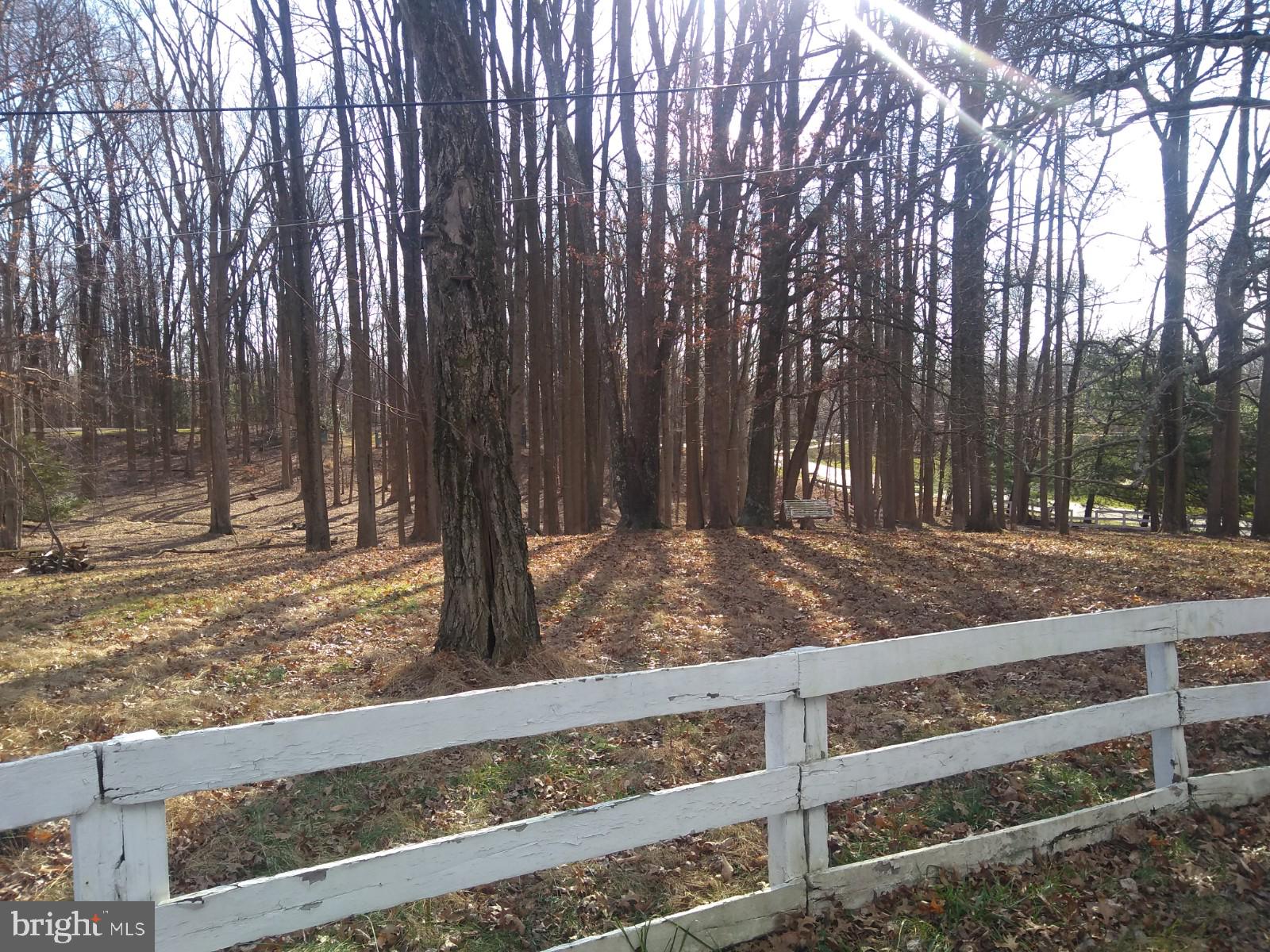 7601 Brickyard Road Potomac, MD 20854 - Photo 13 of 21 Gallery Image 13