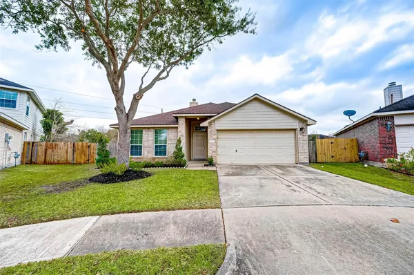 a view of a yard in front of a house with plants and a large tree
