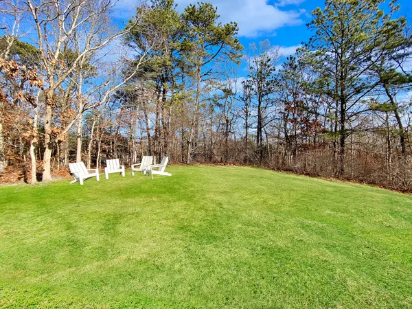 a view of yard with tree