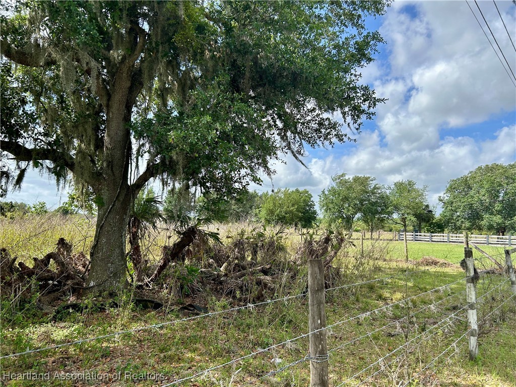 64 East State Road Zolfo Springs, FL 33890 - Photo 13 of 18 a view of outdoor space and yard