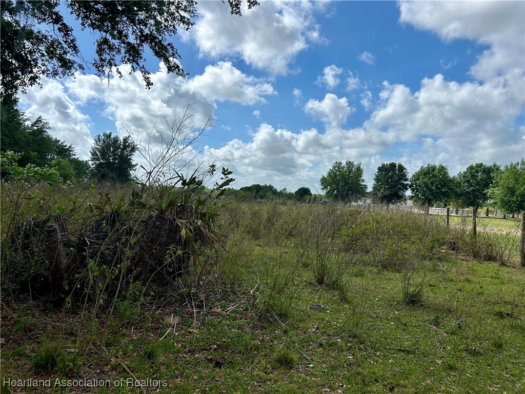 64 East State Road Zolfo Springs, FL 33890 - Photo 8 of 18 a view of a lush green forest