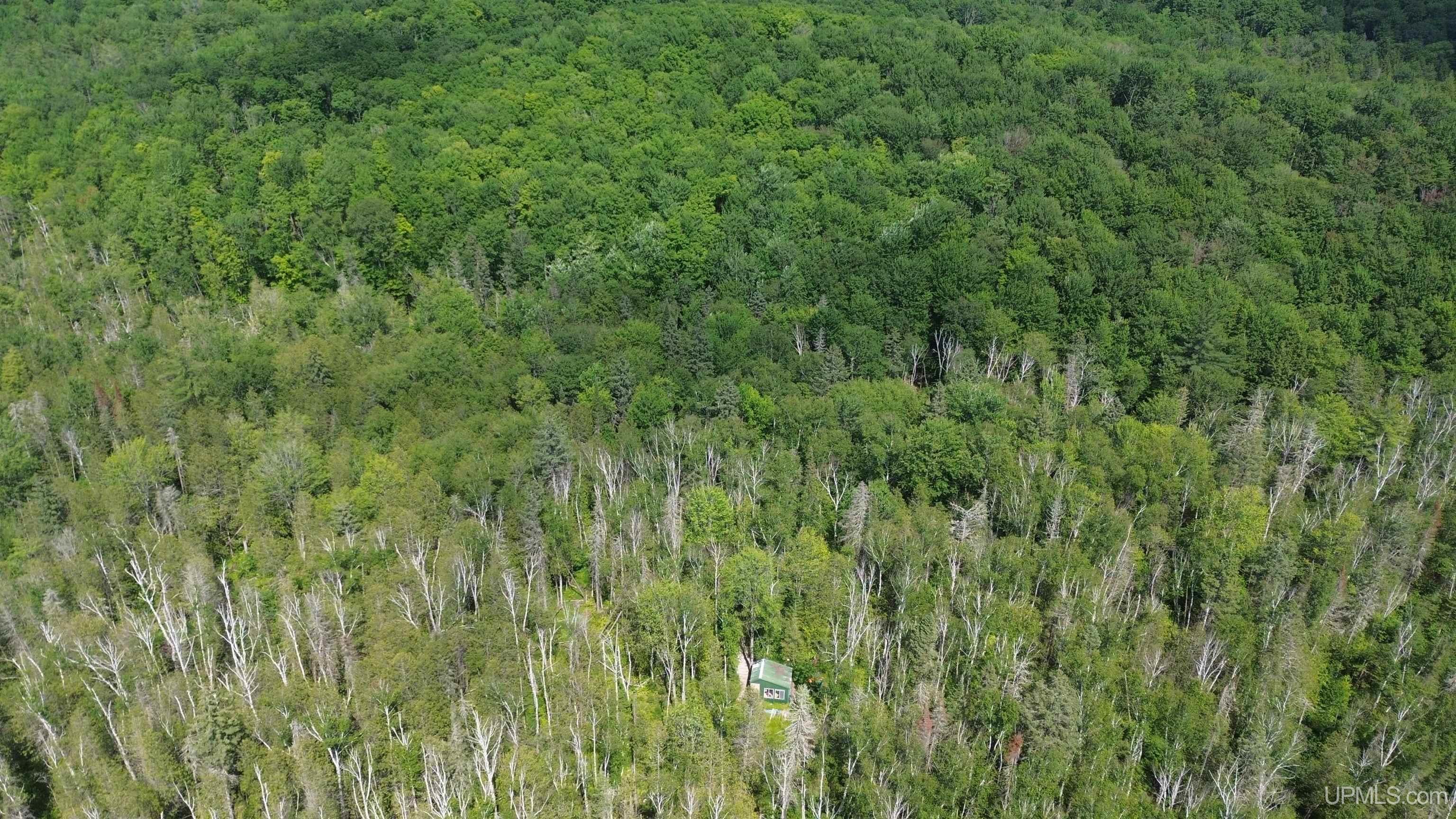 13 Highway Wetmore, MI 49895 - Photo 39 of 39