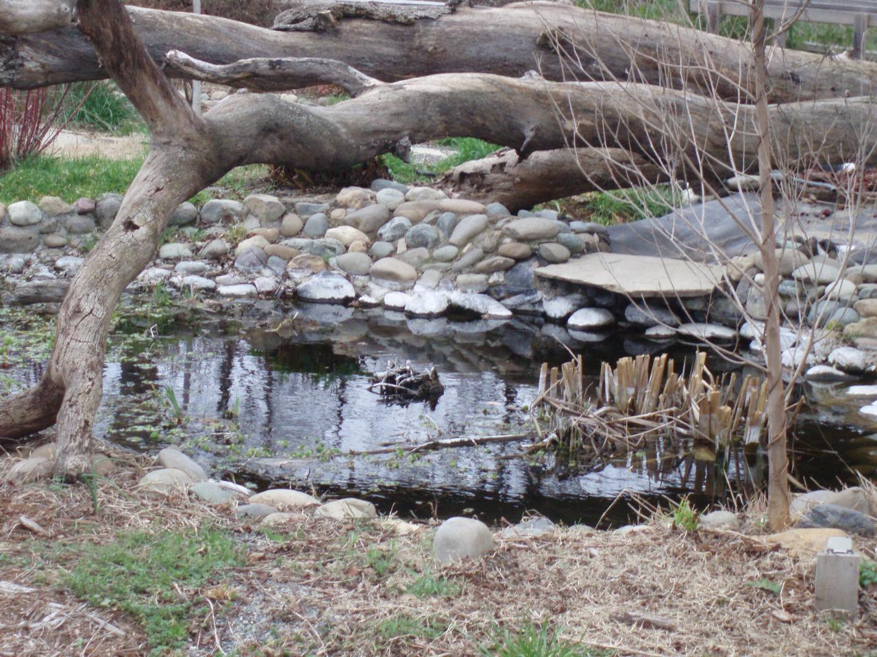 7918 Silver Bridge Road Palo Cedro, CA 96073 - Photo 11 of 24 Serenity pond
