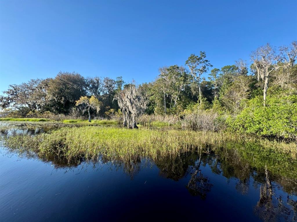 45202 Nfs Road Altoona, FL 32702 - Photo 41 of 50