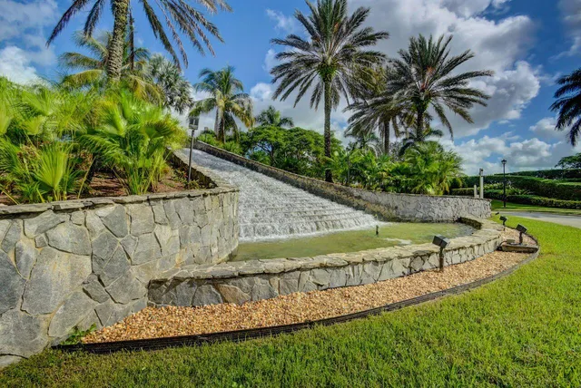 a view of a backyard with plants and palm trees