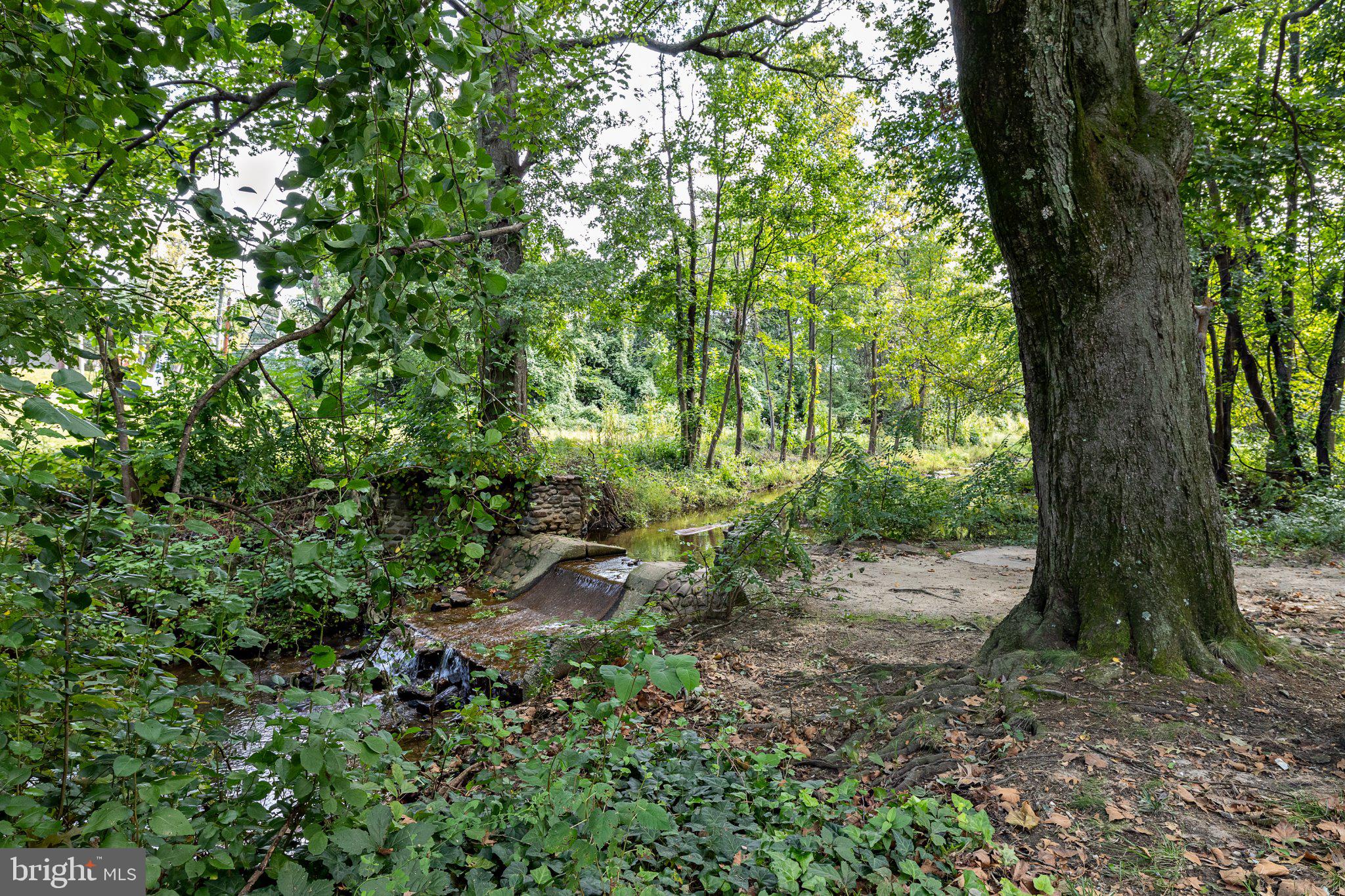 1828 Kings Highway Haddon Heights, NJ 08035 - Photo 69 of 83 Gallery Image 69