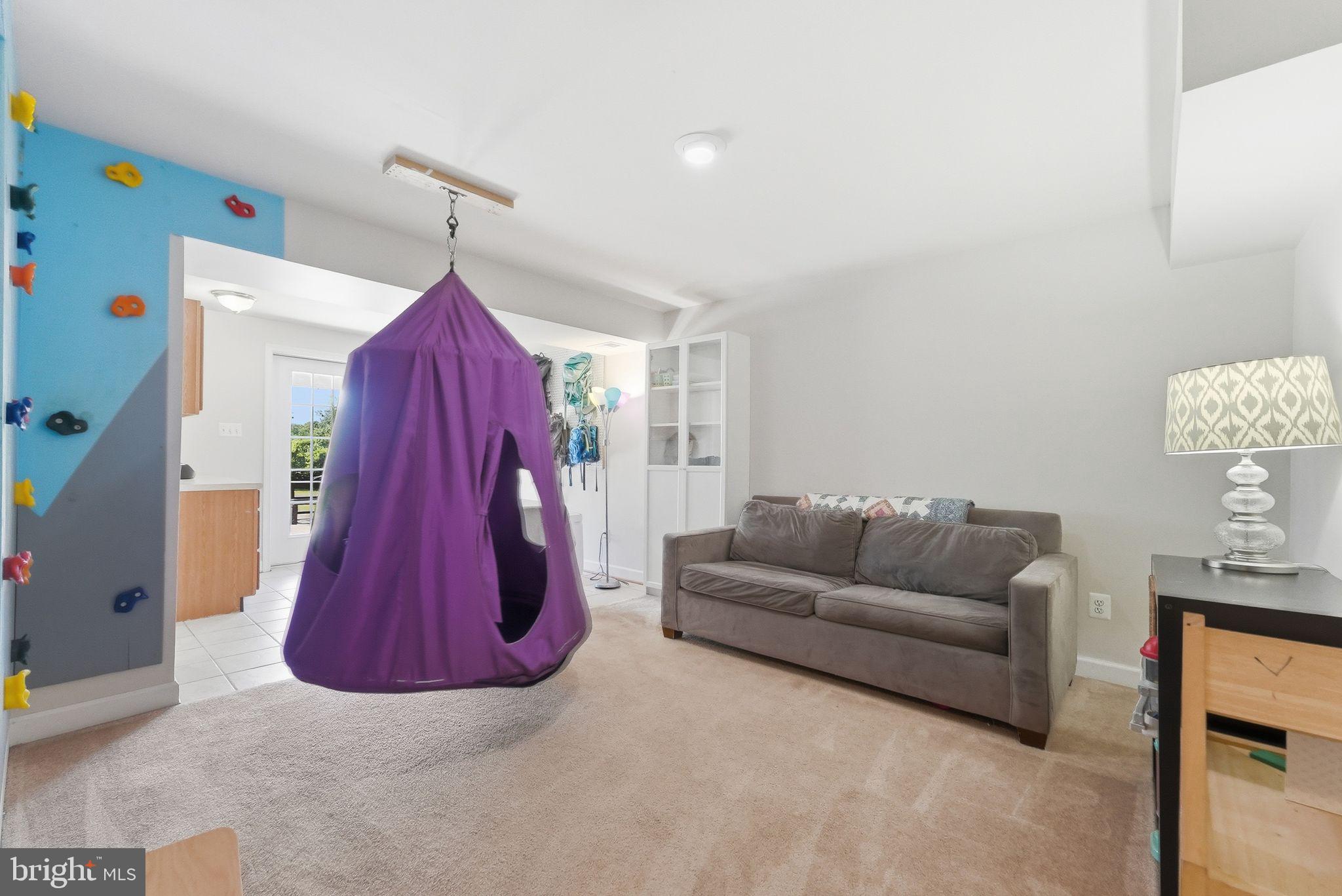 18198 Springs Road Jeffersonton, VA 22724 - Photo 32 of 80 Lower Level: set up for fun!