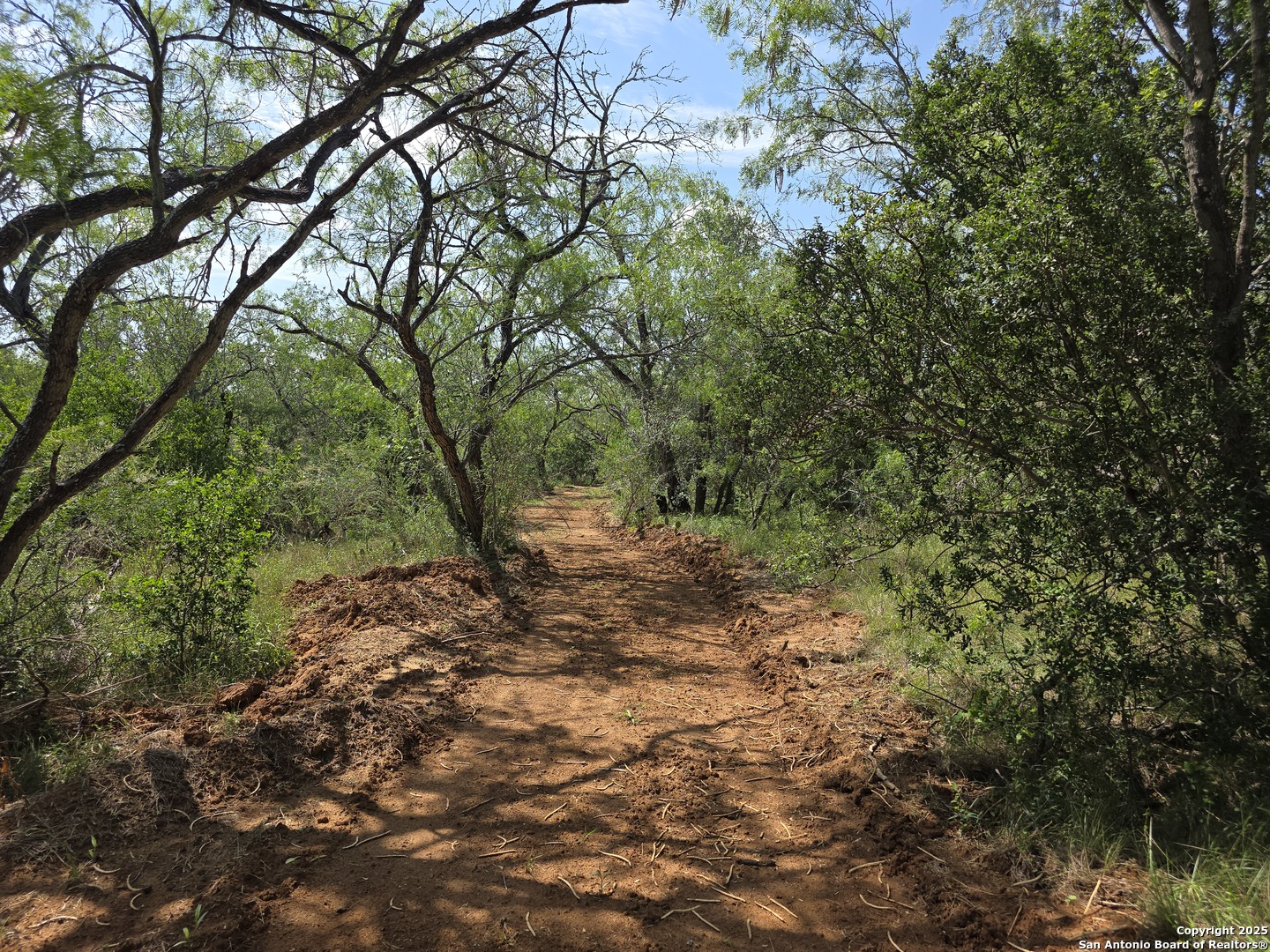 385 Marrou Road Seguin, TX 78155 - Photo 2 of 13