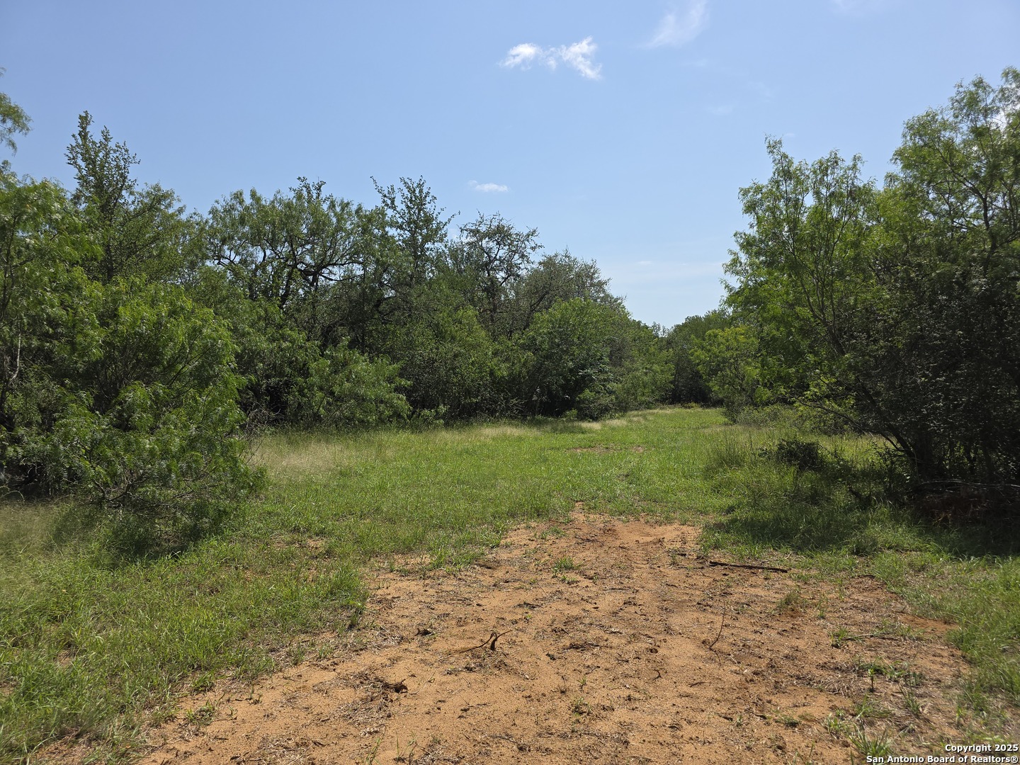 385 Marrou Road Seguin, TX 78155 - Photo 3 of 13 a view of a field with trees in the background