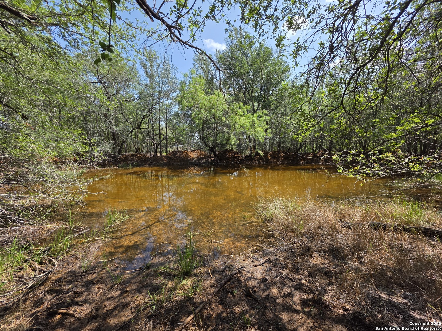 385 Marrou Road Seguin, TX 78155 - Photo 8 of 13 a view of a lake view