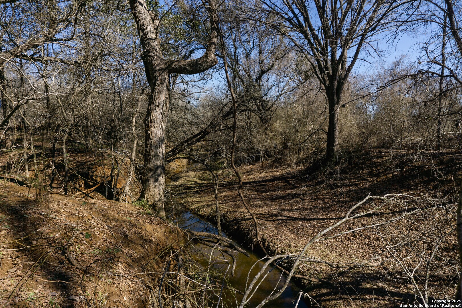 385 Marrou Road Seguin, TX 78155 - Photo 10 of 13 a view of a yard with a tree