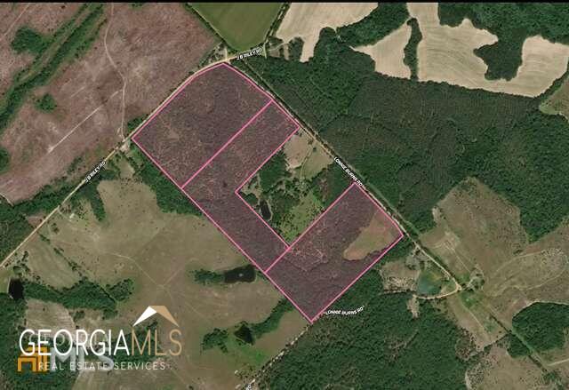0 Lonnie Burns Road Milan, GA 31060 - Photo 1 of 1 Gallery Image 1