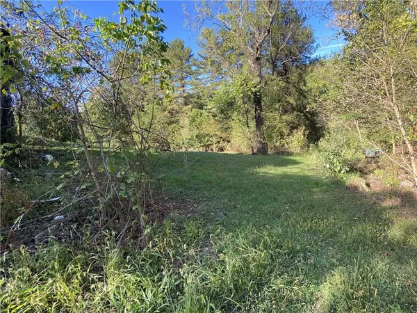 a view of a field with a tree