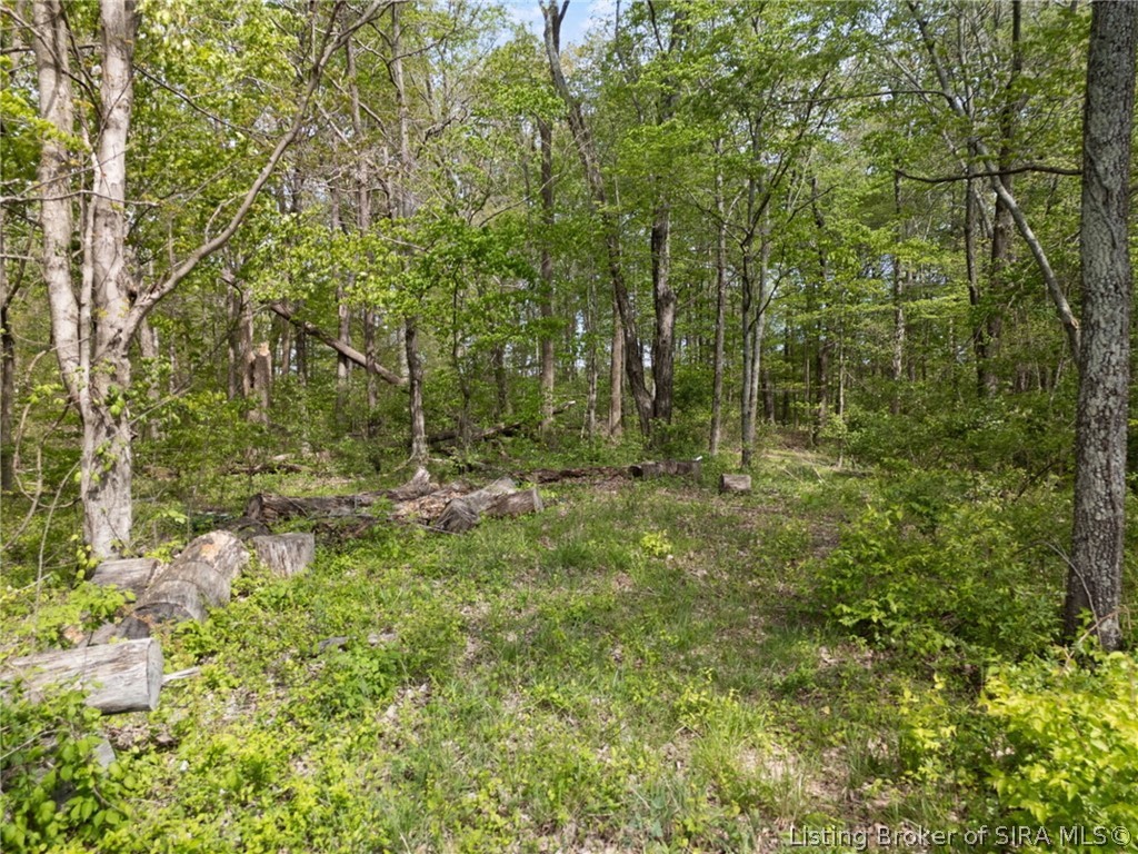 Rogers Campground Road Elizabeth, IN 47117 - Photo 13 of 46 Gallery Image 13
