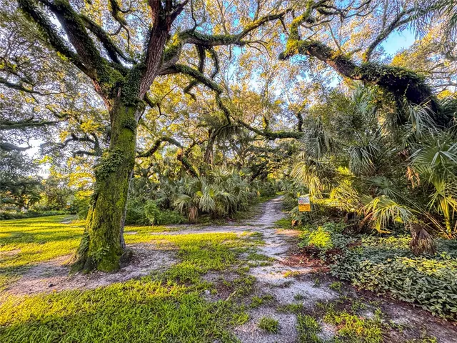 a view of a yard with swimming pool