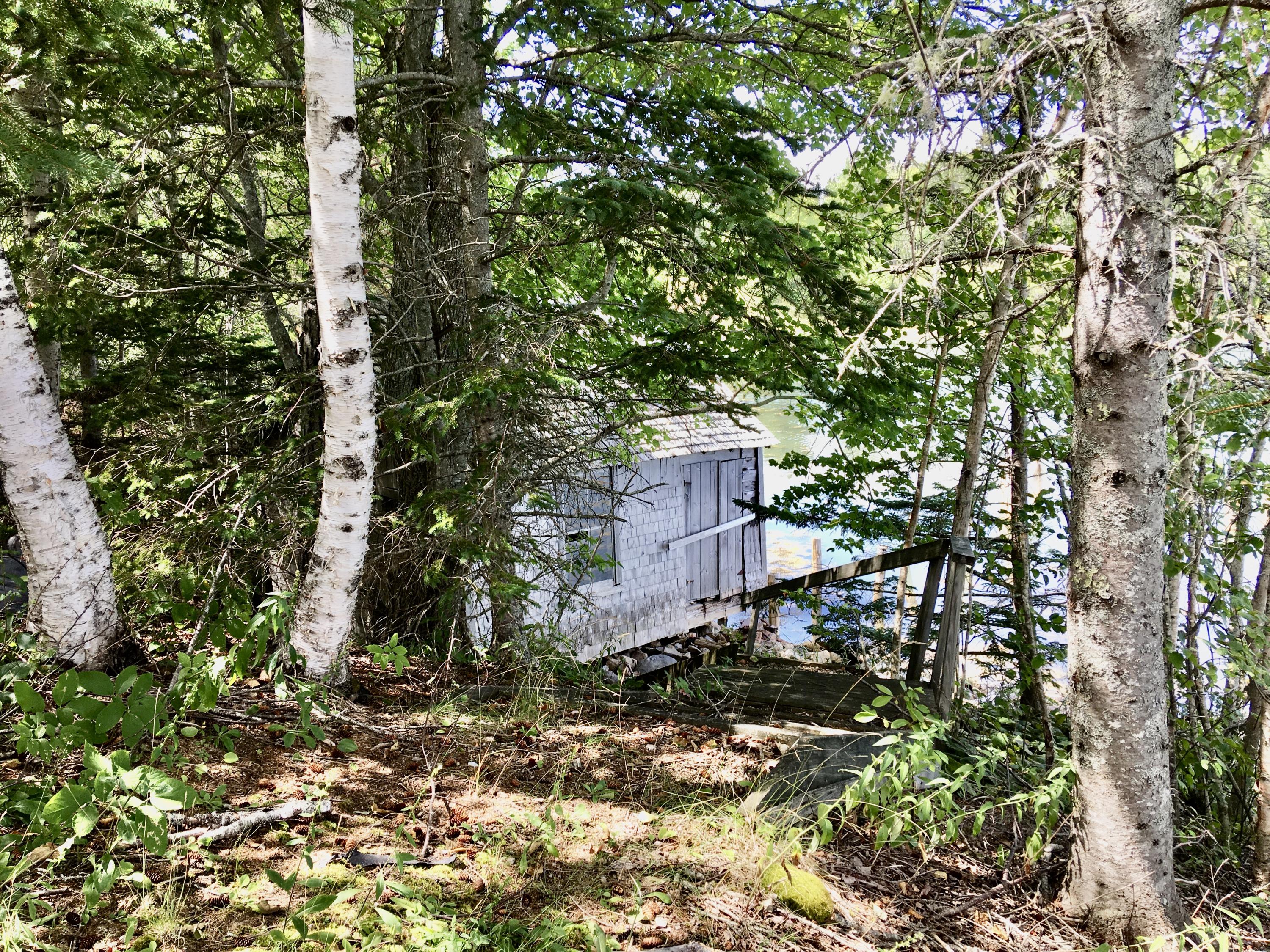 44 Tom Leighton Point Road Milbridge, ME 04658 - Photo 8 of 75 IMG_4998