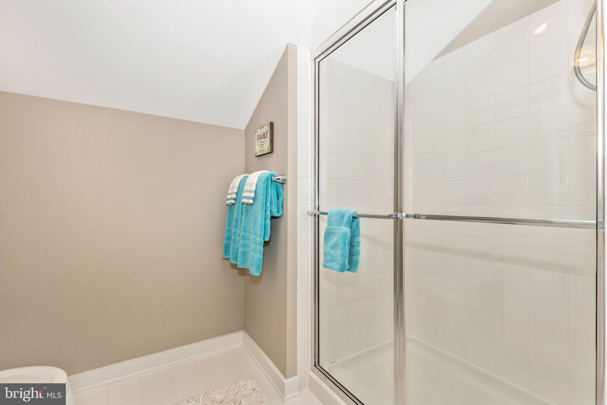 3239 Stone Barn Drive Frederick, MD 21704 - Photo 42 of 79 Full Bathroom #4