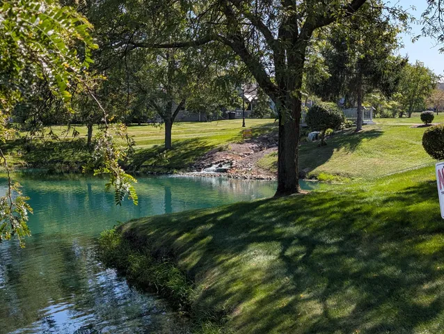 a view of a lake with a large trees