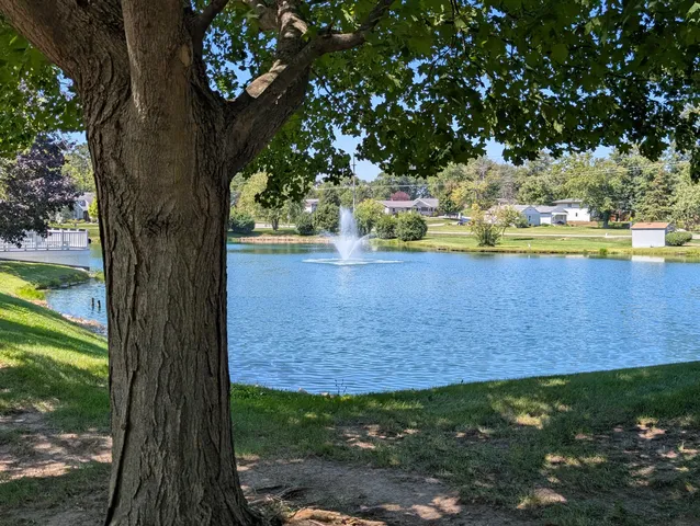 a view of swimming pool with a yard