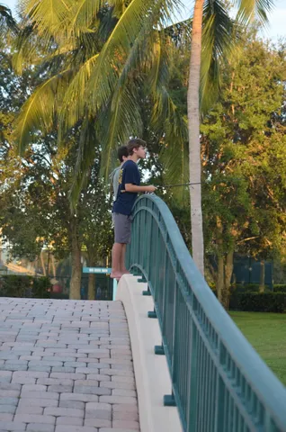 a view of outdoor space with palm trees