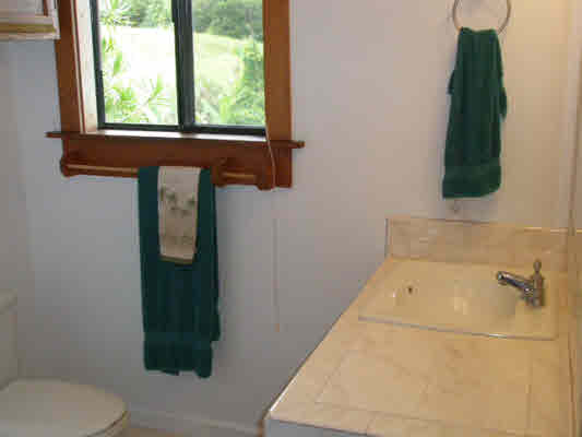1939 Kaiwiki Road Hilo, HI 96720 - Photo 16 of 16 a bathroom with a toilet and a shower
