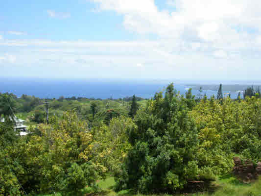 1939 Kaiwiki Road Hilo, HI 96720 - Photo 8 of 16 an aerial view of a city and trees