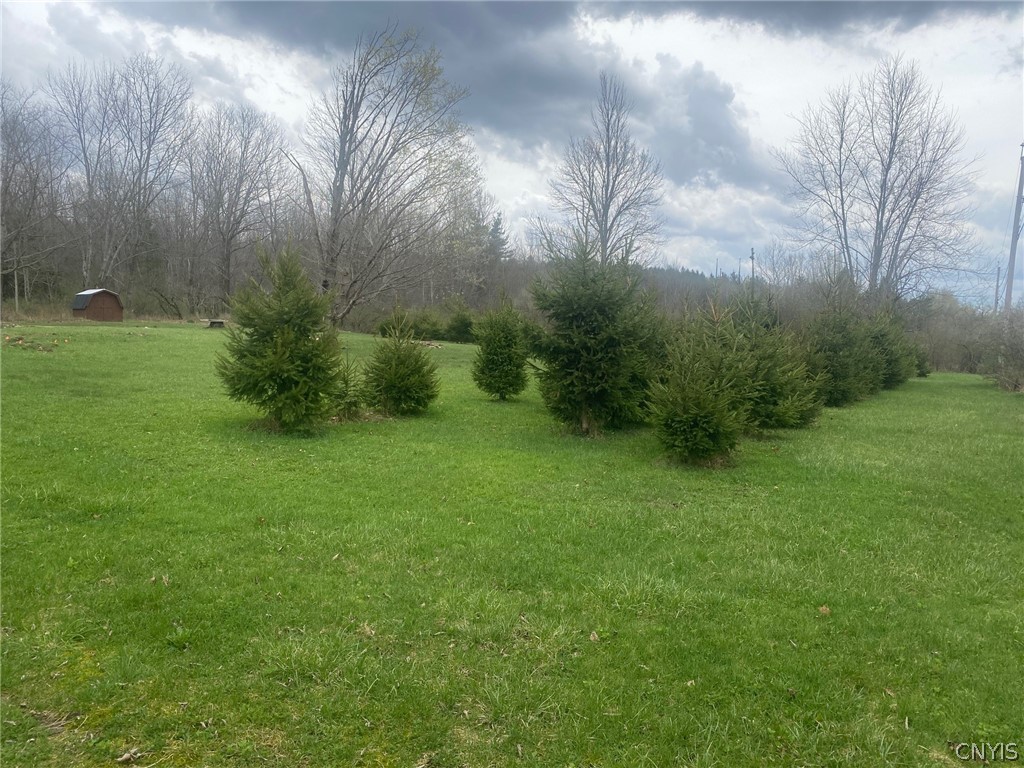 8708 Oramel Hill Road Caneadea, NY 14717 - Photo 6 of 11