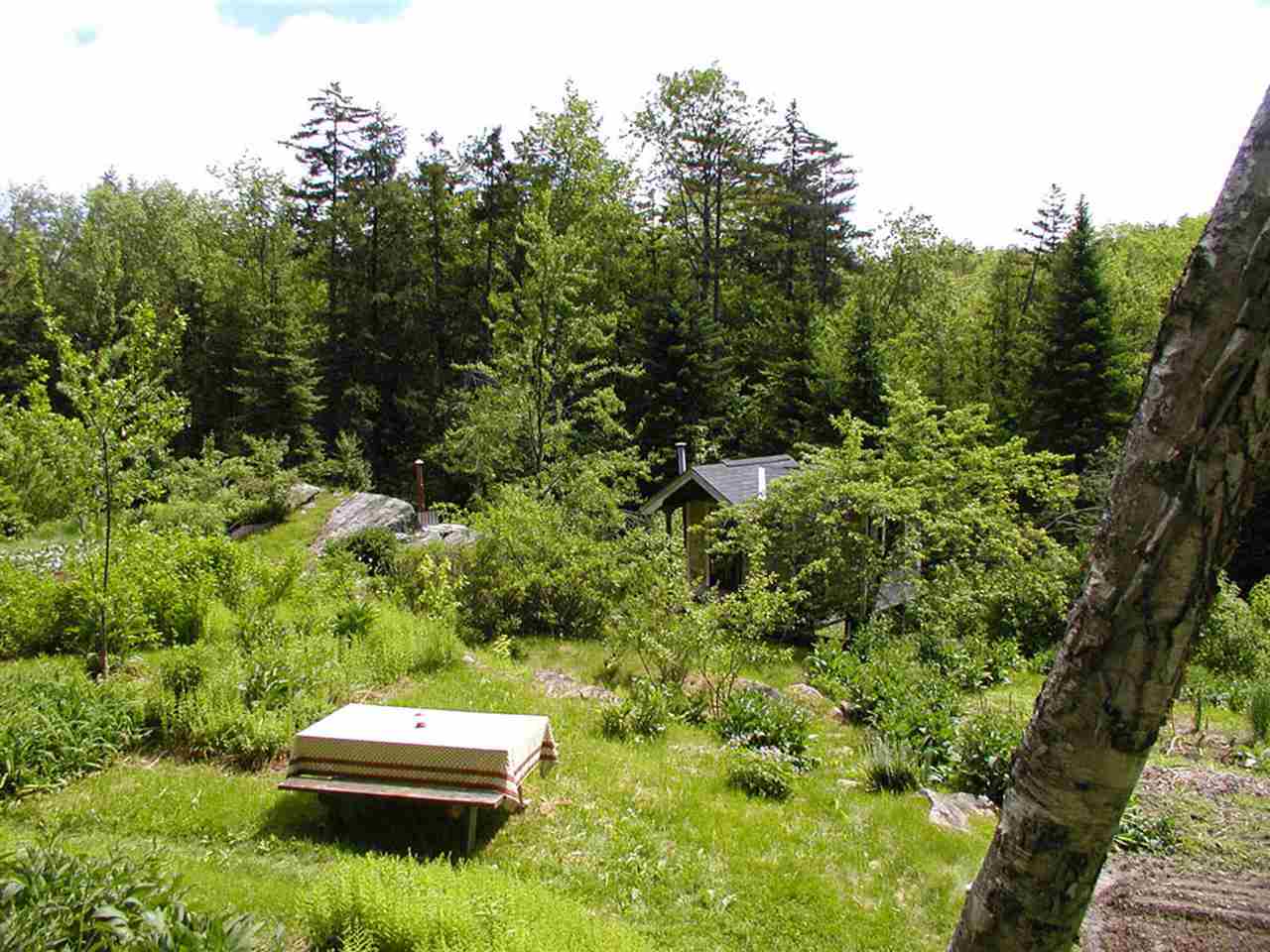 1718 Faulkner Road Whitingham, VT 05361 - Photo 3 of 29