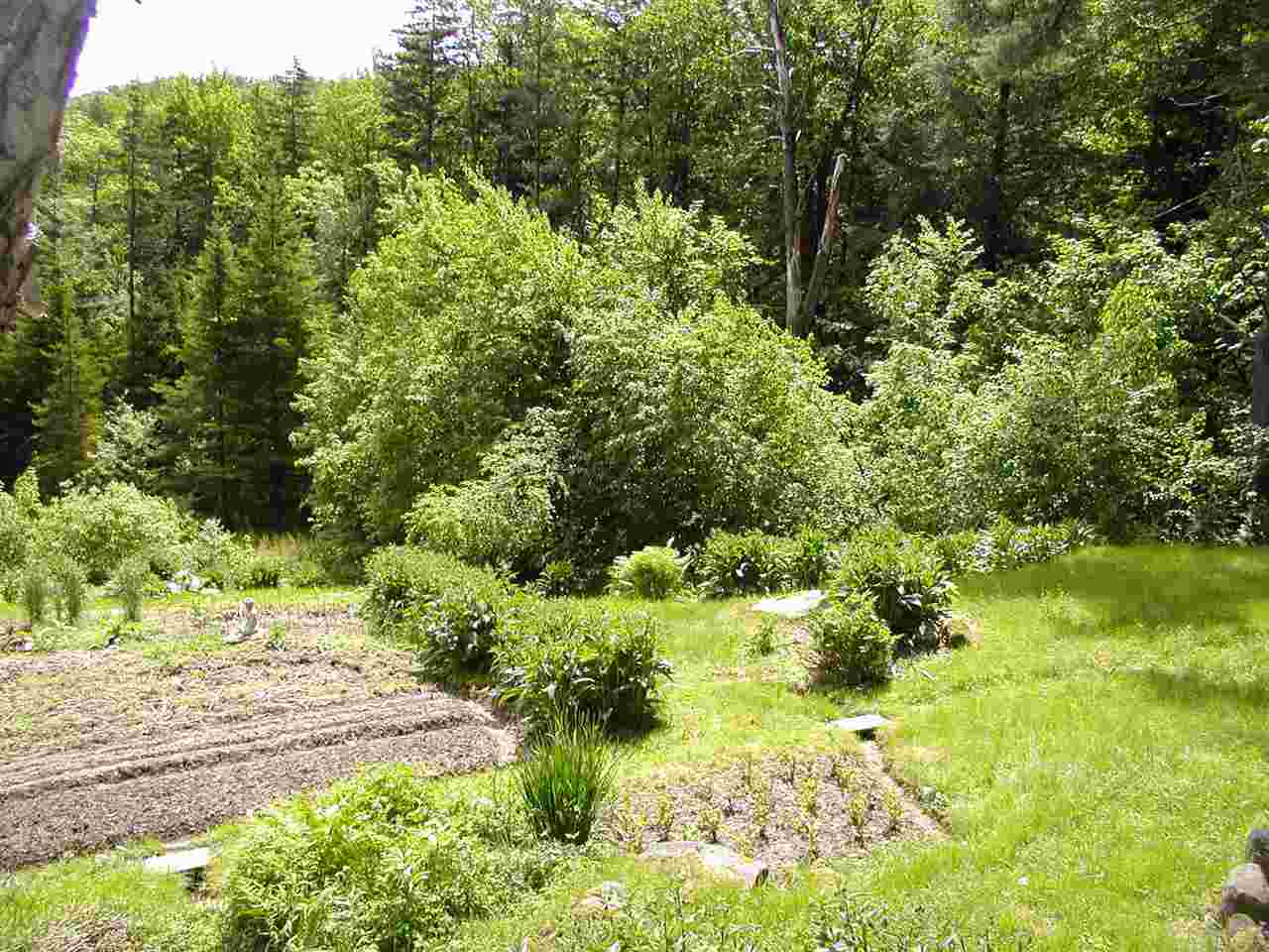 1718 Faulkner Road Whitingham, VT 05361 - Photo 4 of 29