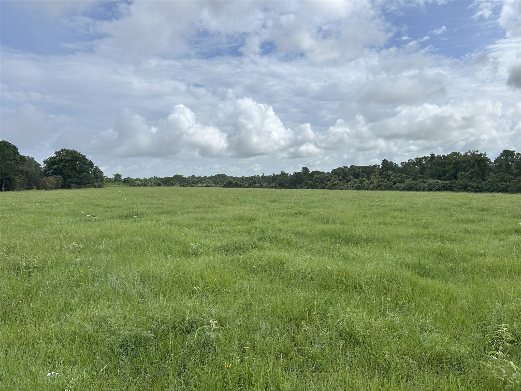Tbd Holik Road Hempstead, TX 77445 - Photo 21 of 50