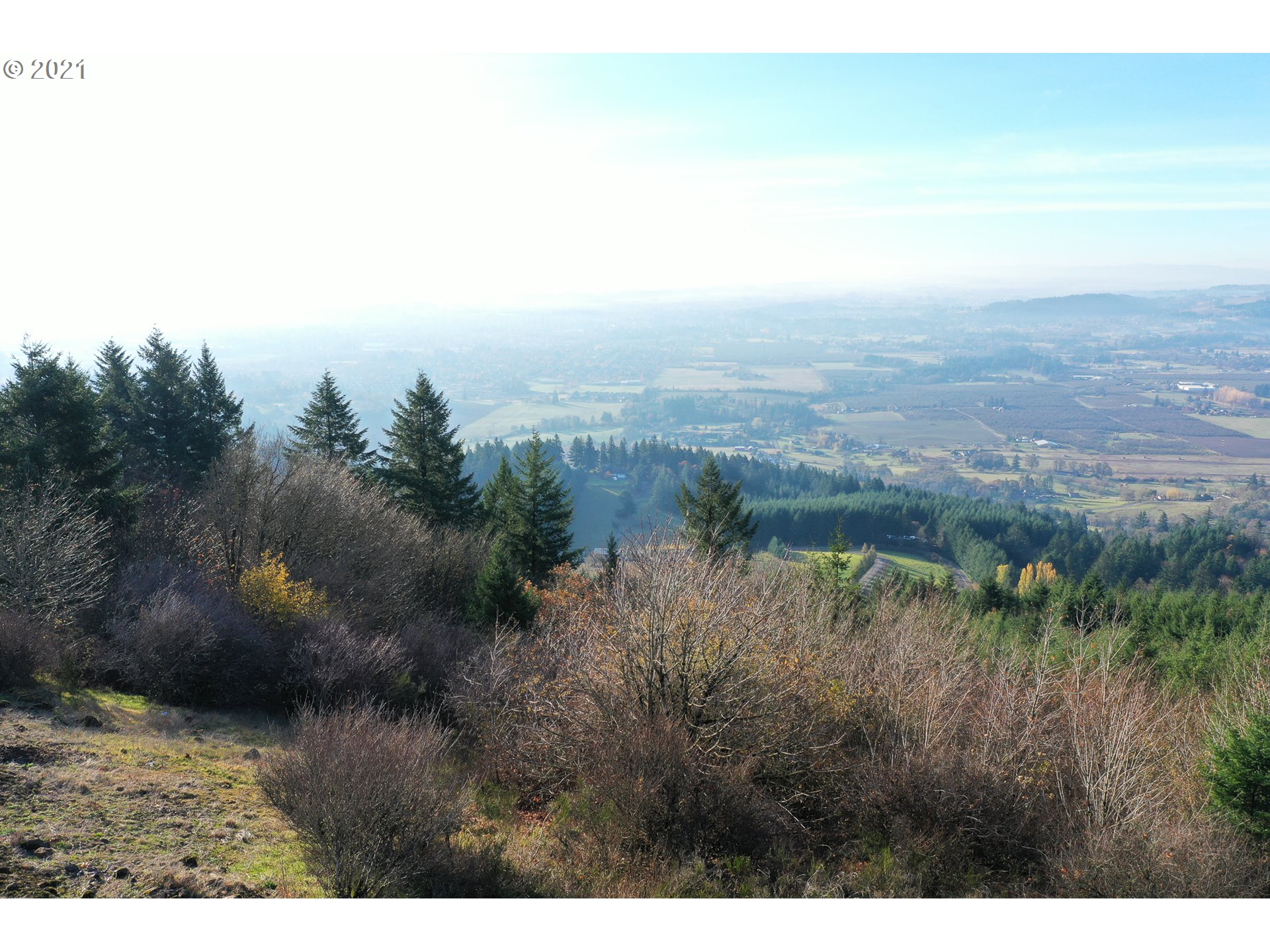 0 Mt Top Road Newberg, OR 97132 - Photo 4 of 7 a view of a yard