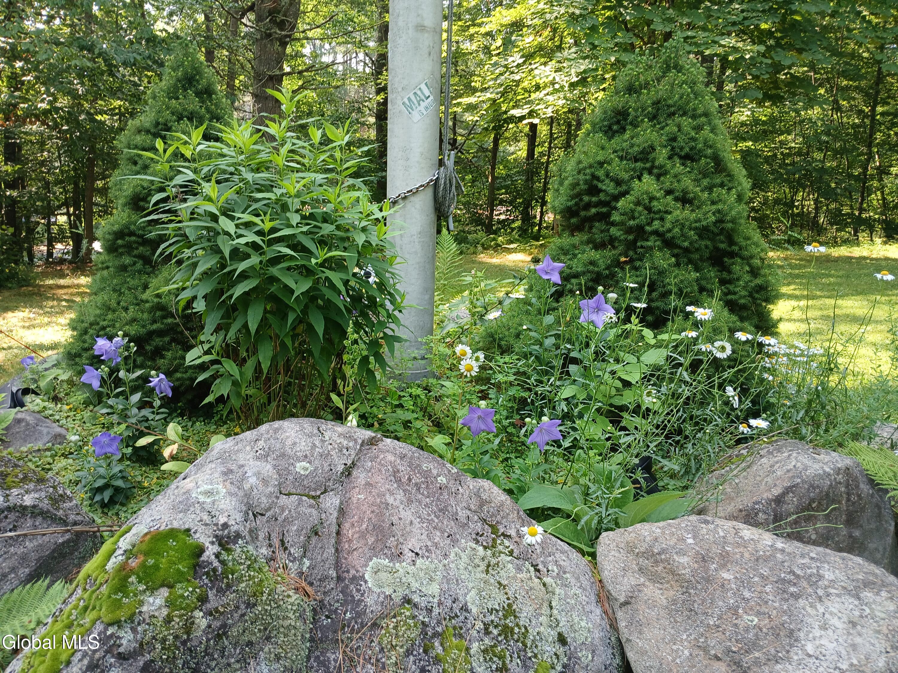 141 River Road Benson, NY 12134 - Photo 42 of 50 1000000869