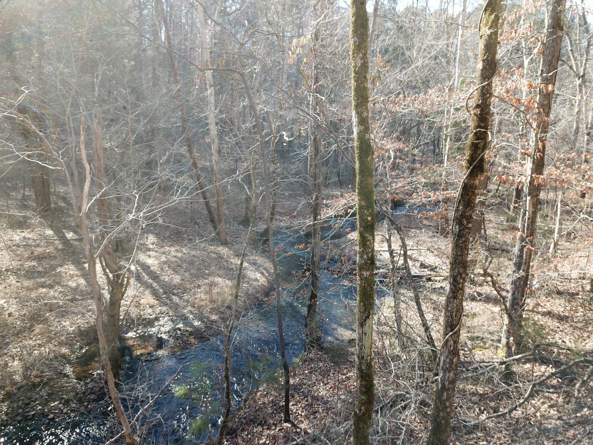 0 West Kelly Road Centerville, TN 37033 - Photo 13 of 25 Gallery Image 13