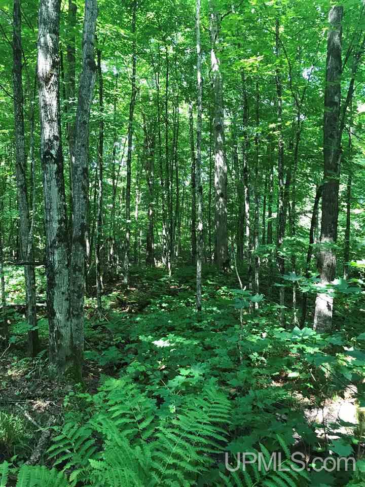Tbd Blue Road, Unit 211 Pelkie, MI 49958 - Photo 7 of 9