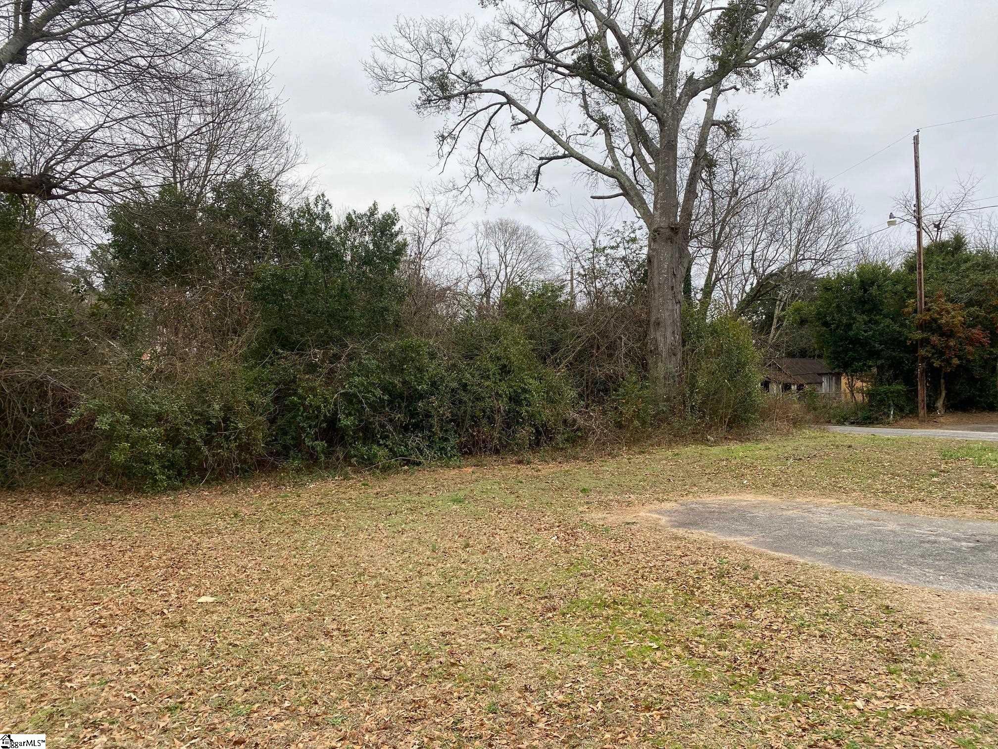 719 Chestnut Street Laurens, SC 29360 - Photo 3 of 17