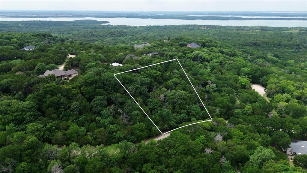 1917 Juniper Ridge Road Cedar Hill, TX 75104 - Photo 2 of 23 a view of a yard with a forest