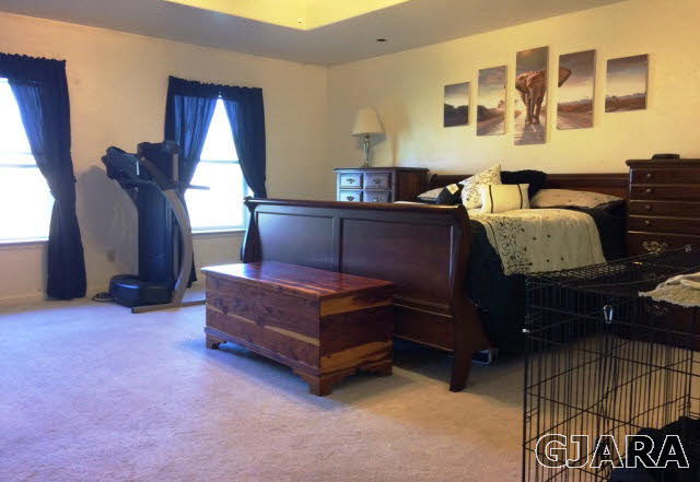 3023 1585 Road Delta, CO 81416 - Photo 2 of 9 Gallery Image 2