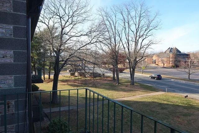 a view of a yard with trees
