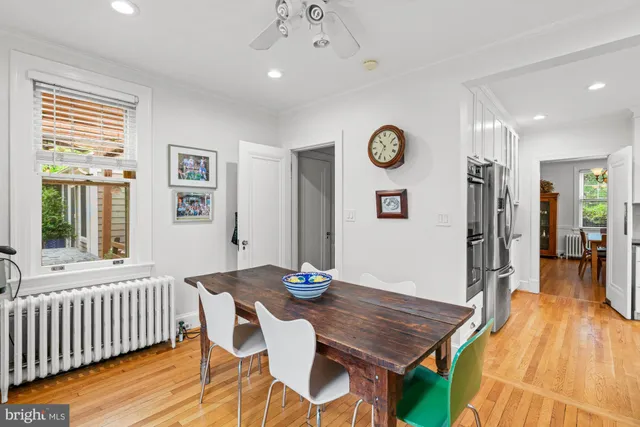 a view of a garden with plants and large trees
