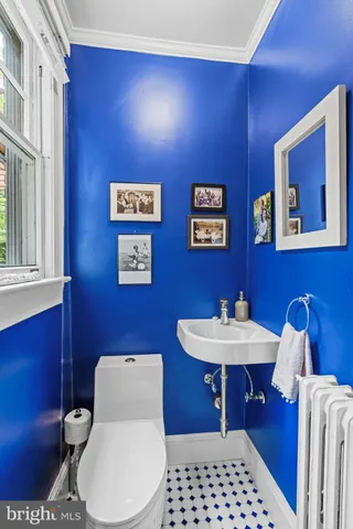 a front view of a house with garden and trees