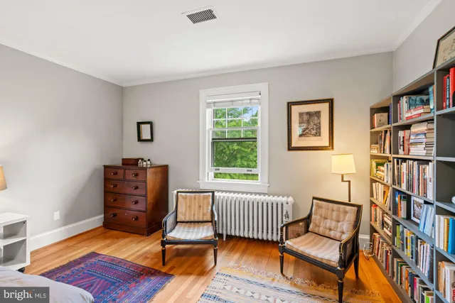 a view of a yard with plants and large trees