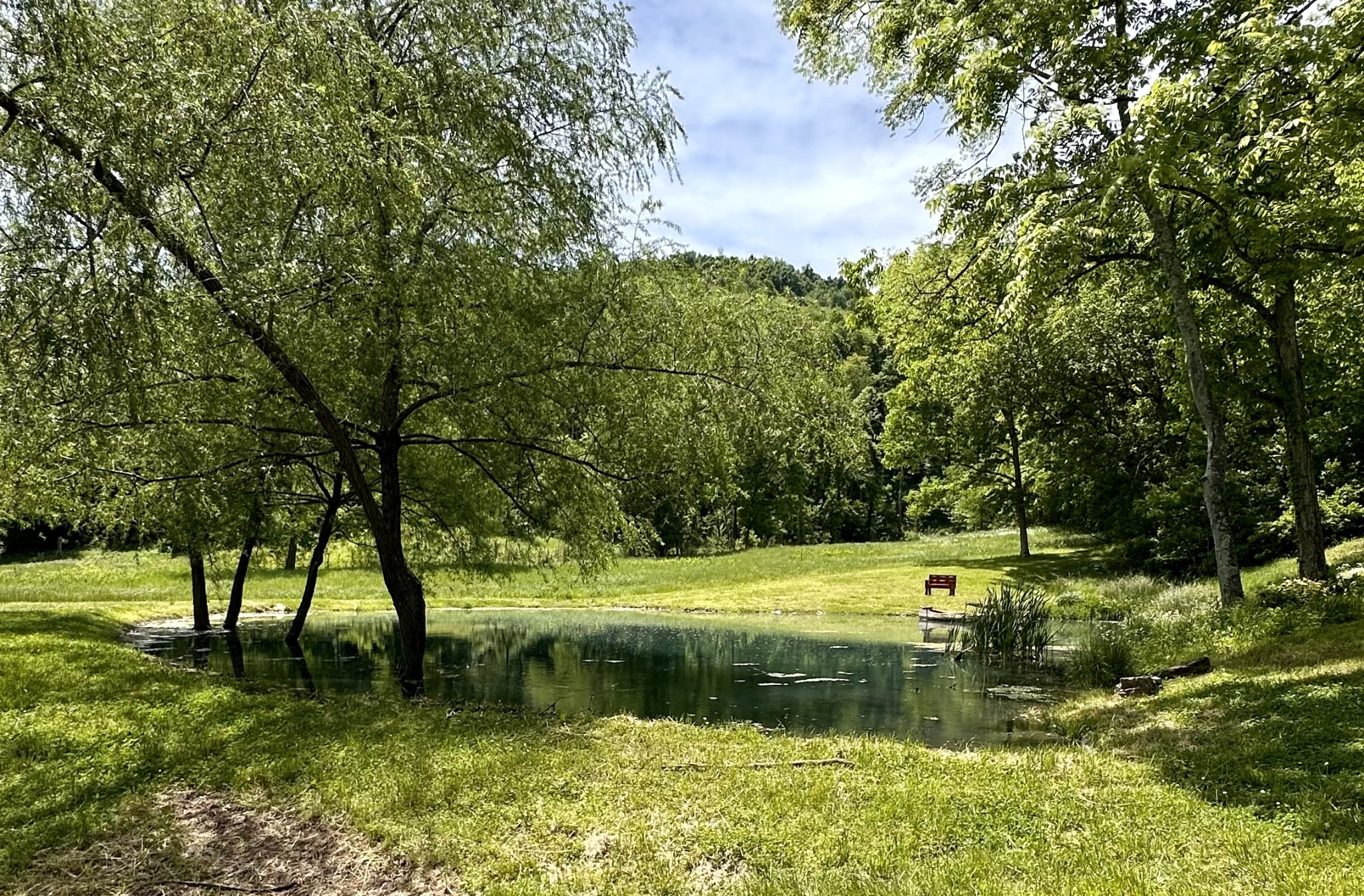 288 Trapp Road Watertown, TN 37184 - Photo 44 of 70