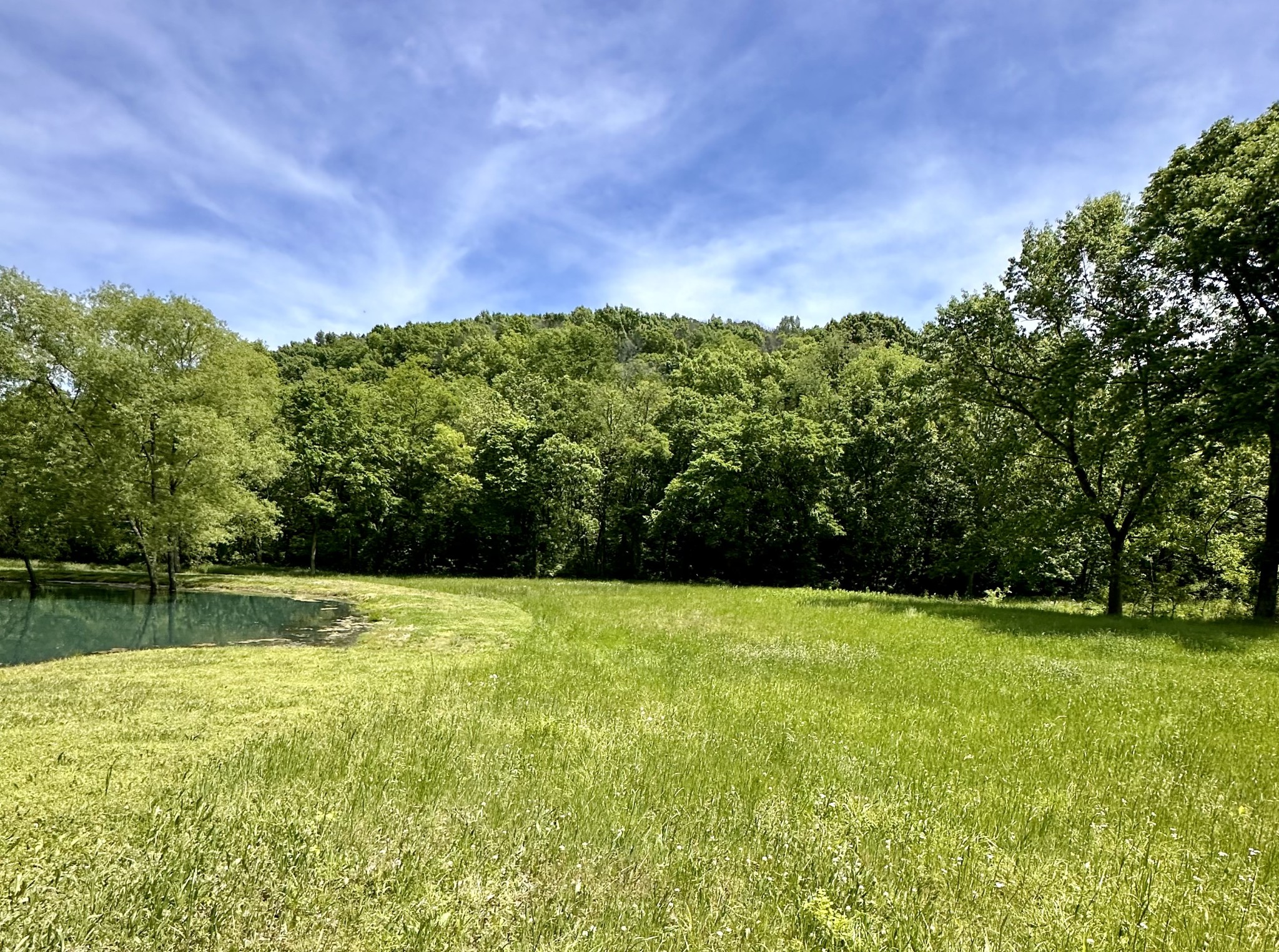 288 Trapp Road Watertown, TN 37184 - Photo 47 of 70