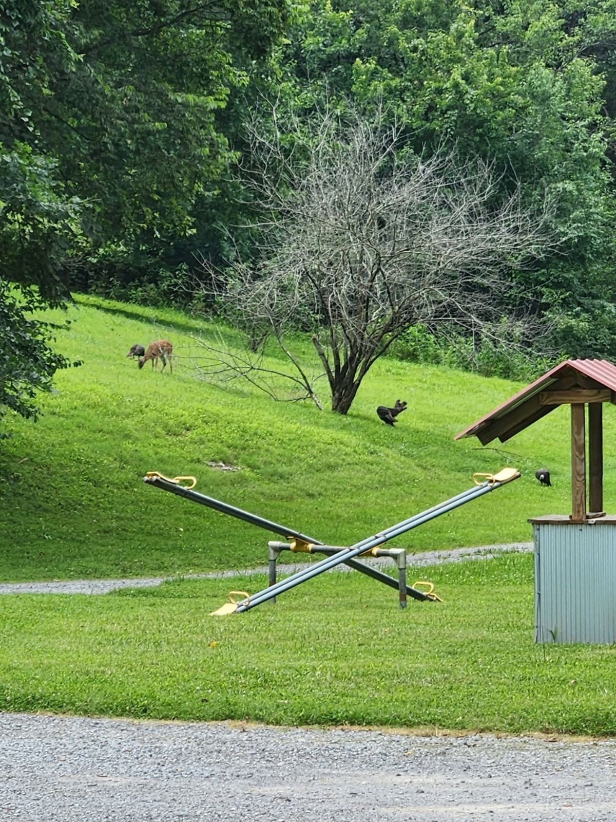 288 Trapp Road Watertown, TN 37184 - Photo 67 of 70