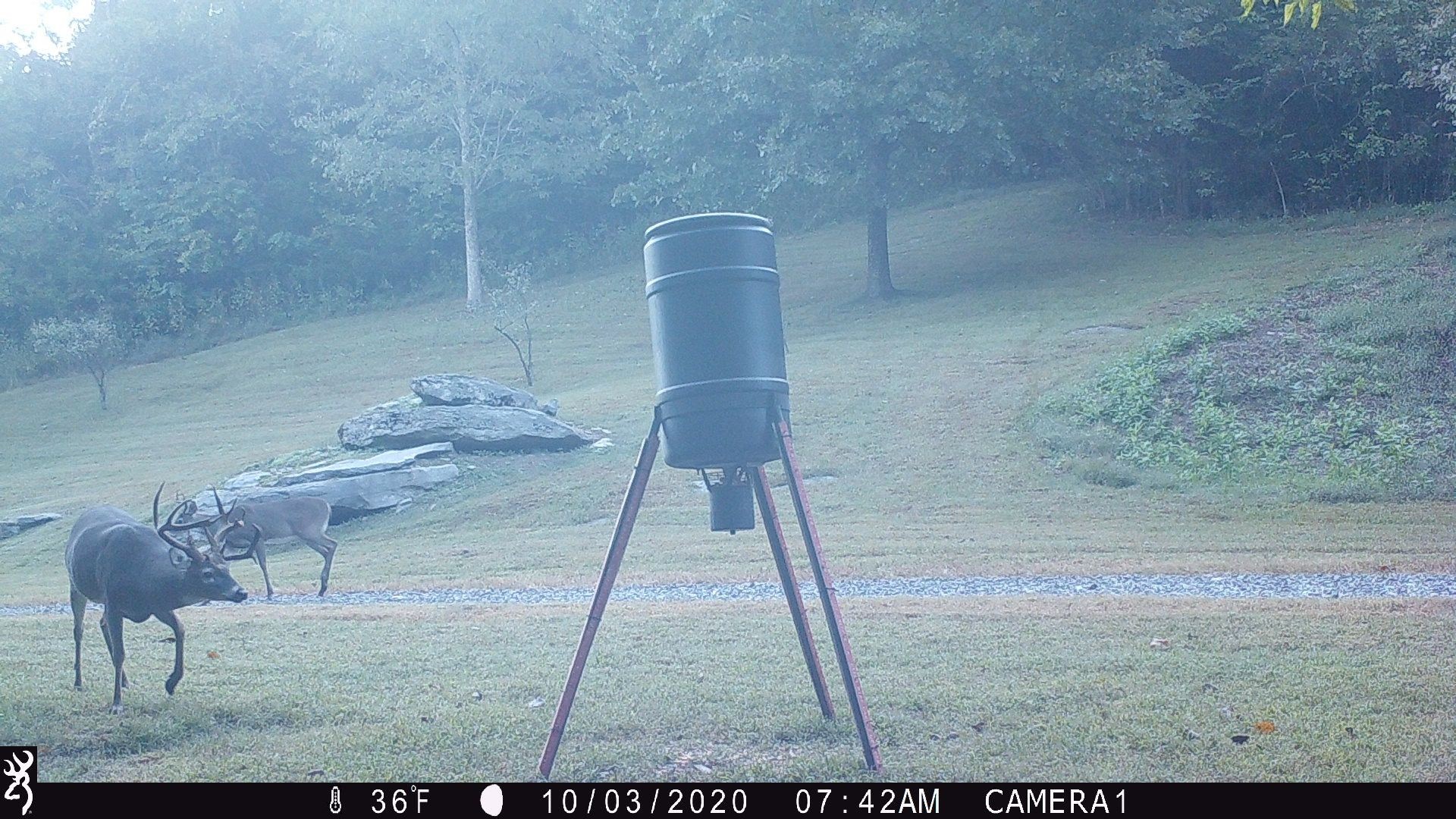288 Trapp Road Watertown, TN 37184 - Photo 70 of 70