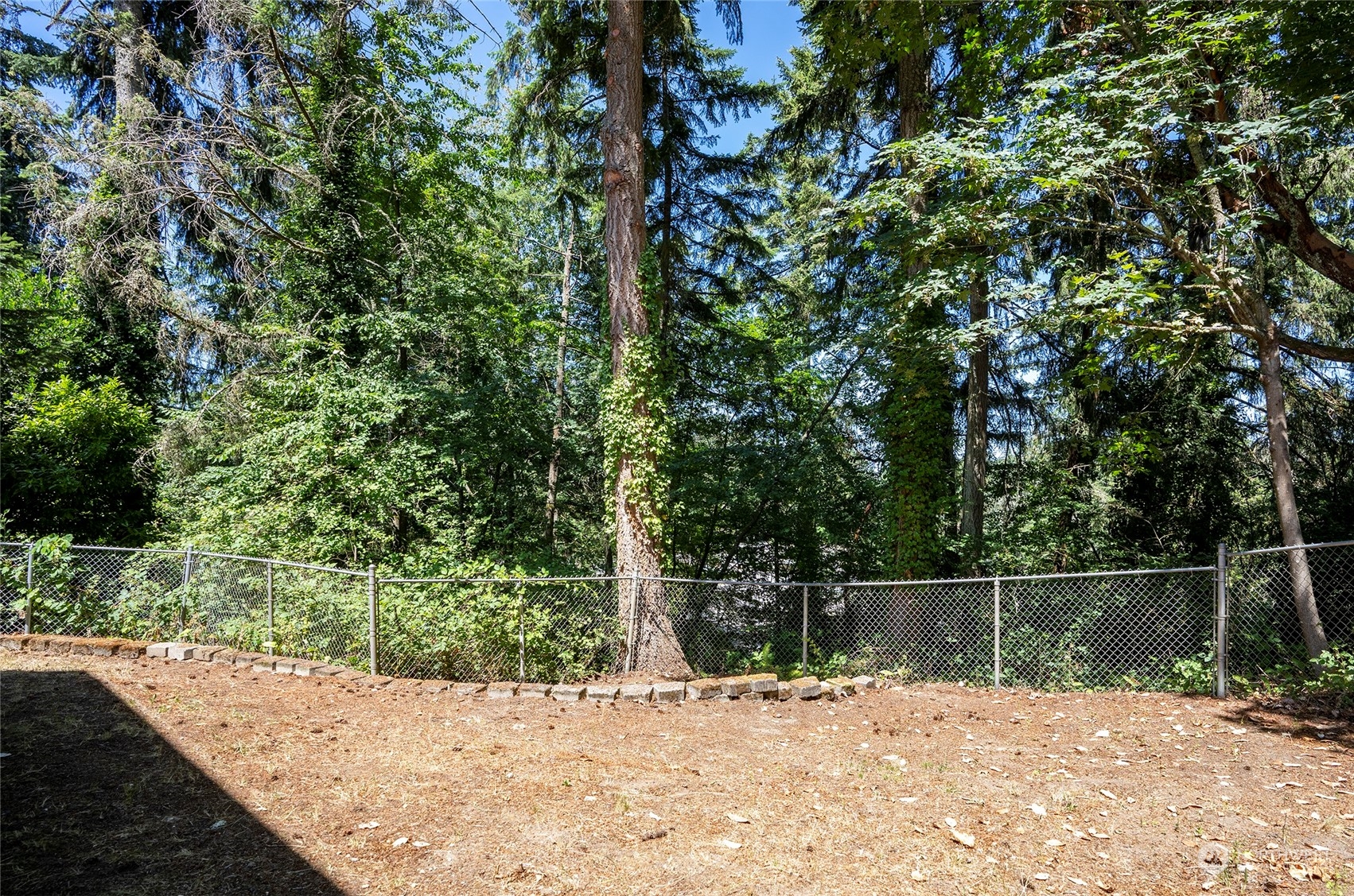 2833 Marietta Street Steilacoom, WA 98388 - Photo 34 of 40 a backyard of a house with lots of green space