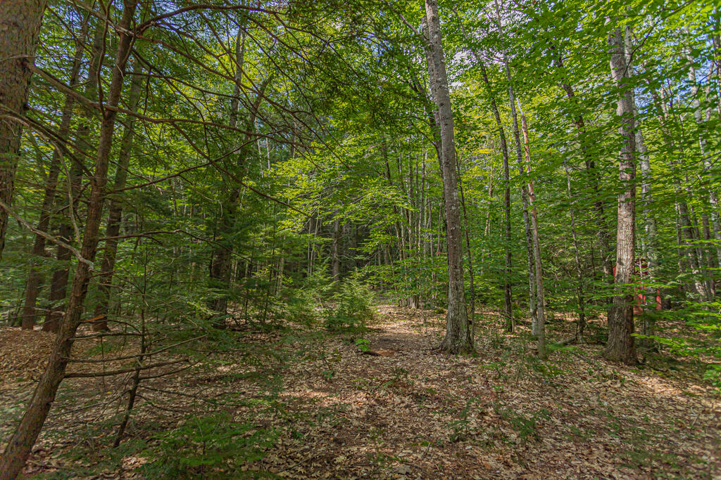 240 Pond Road Wilton, ME 04294 - Photo 2 of 4 Lot