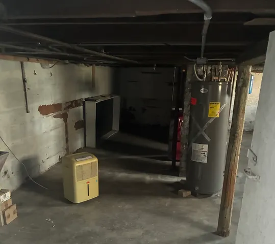 a view of mirror door and tree